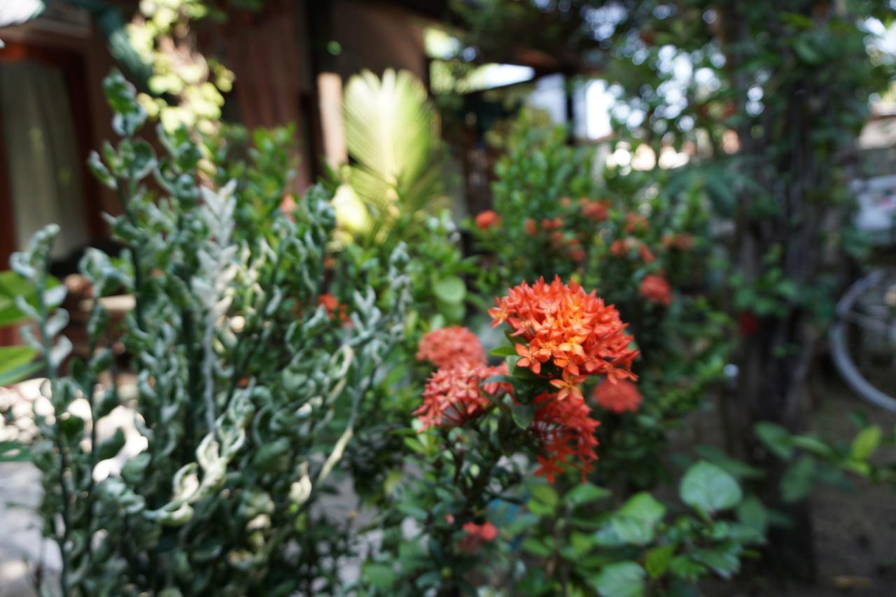 Bed and Breakfast Salon de Nomad Gili T. Gili Trawangan Esterno foto